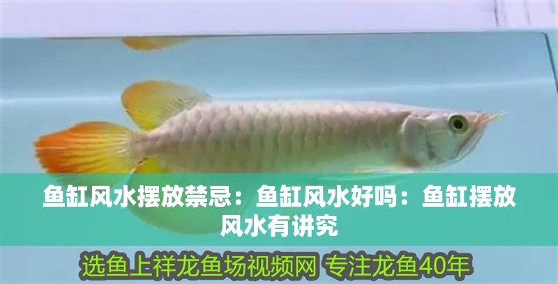 魚缸風(fēng)水?dāng)[放禁忌：魚缸風(fēng)水好嗎：魚缸擺放風(fēng)水有講究 魚缸風(fēng)水?dāng)[放禁忌：魚缸風(fēng)水好嗎：魚缸擺放風(fēng)水有講究 魚缸百科
