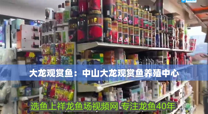 大龍觀賞魚：中山大龍觀賞魚養殖中心 大龍觀賞魚：中山大龍觀賞魚養殖中心 龍魚百科