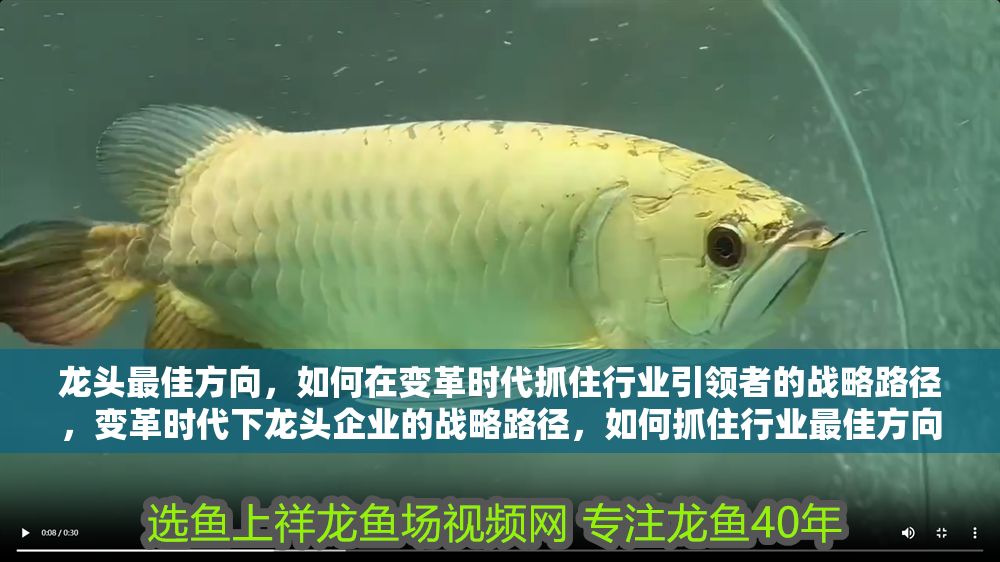 詳細閱讀:龍頭最佳方向,如何在變革時代抓住行業(yè)引領(lǐng)者的戰(zhàn)略路徑,變革時代下龍頭企業(yè)的戰(zhàn)略路徑,如何抓住行業(yè)最佳方向?qū)崿F(xiàn)引領(lǐng) 龍頭最佳方向,如何在變革時代抓住行業(yè)引領(lǐng)者的戰(zhàn)略路徑,變革時代下龍頭企業(yè)的戰(zhàn)略路徑,如何抓住行業(yè)最佳方向?qū)崿F(xiàn)引領(lǐng)