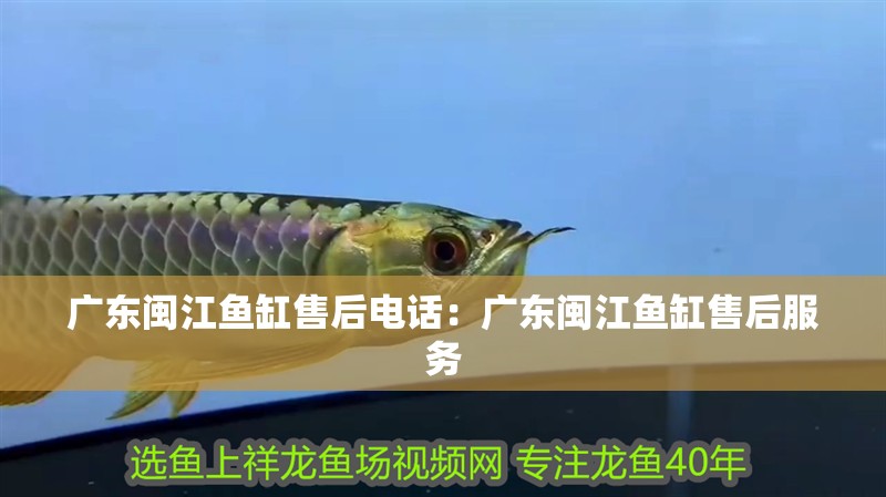 廣東閩江魚缸售后電話：廣東閩江魚缸售后服務(wù)
