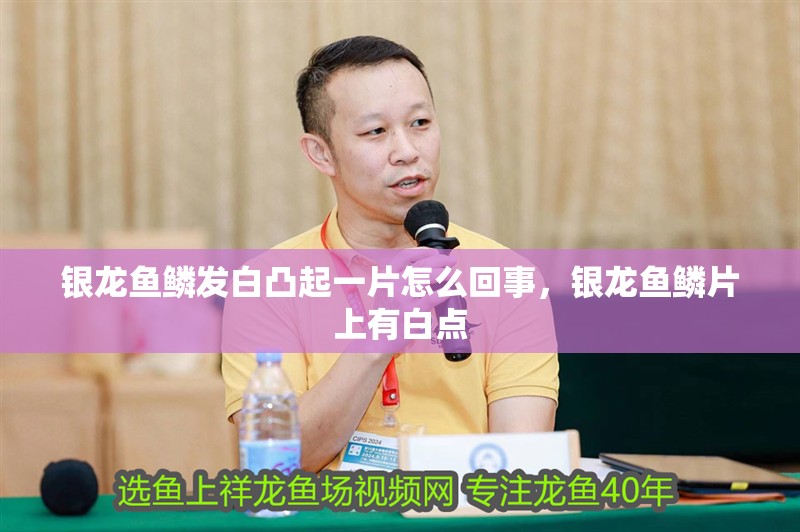 銀龍魚鱗發白凸起一片怎么回事，銀龍魚鱗片上有白點