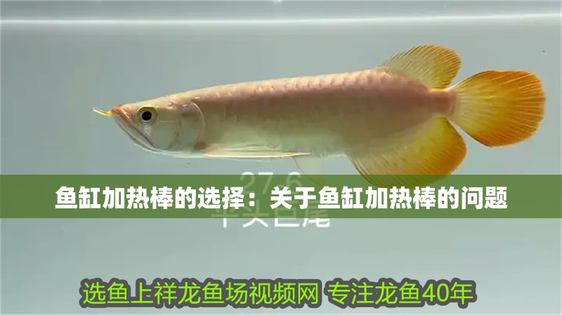 魚缸加熱棒的選擇：關(guān)于魚缸加熱棒的問題