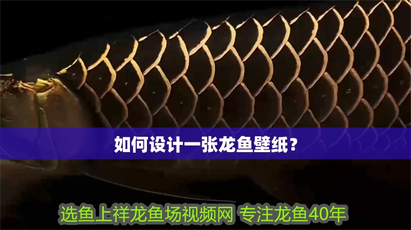 如何設計一張龍魚壁紙？
