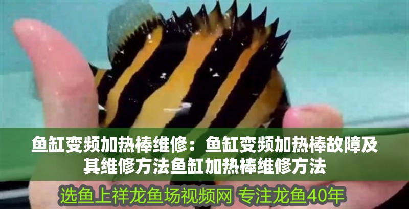 魚缸變頻加熱棒維修：魚缸變頻加熱棒故障及其維修方法魚缸加熱棒維修方法