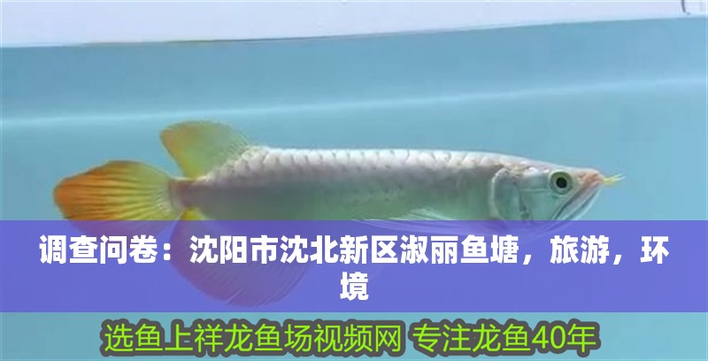 調查問卷：沈陽市沈北新區淑麗魚塘，旅游，環境