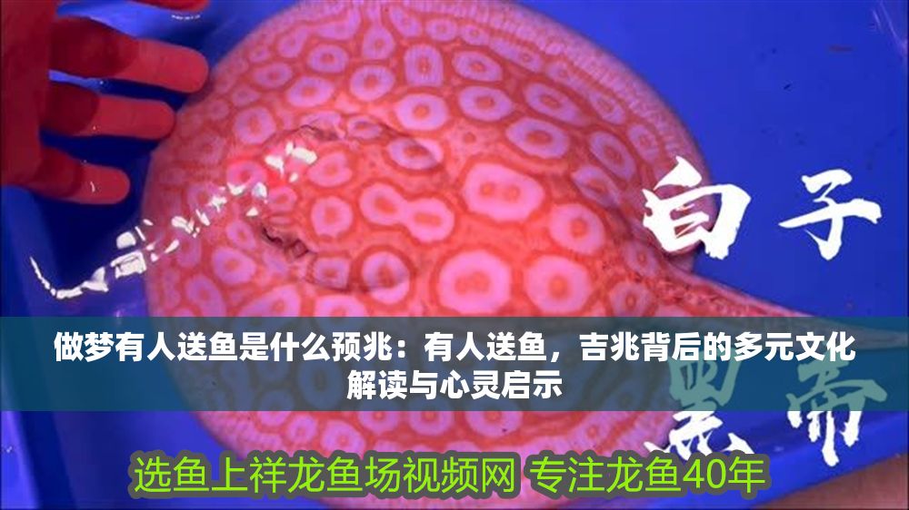 做夢(mèng)有人送魚是什么預(yù)兆：有人送魚，吉兆背后的多元文化解讀與心靈啟示