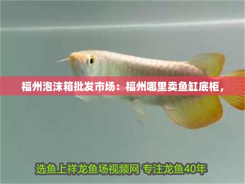 福州泡沫箱批發市場：福州哪里賣魚缸底柜，