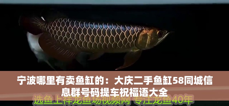 寧波哪里有賣魚缸的：大慶二手魚缸58同城信息群號碼提車祝福語大全