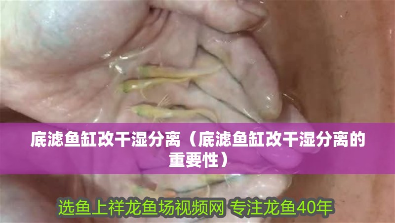底濾魚缸改干濕分離（底濾魚缸改干濕分離的重要性）