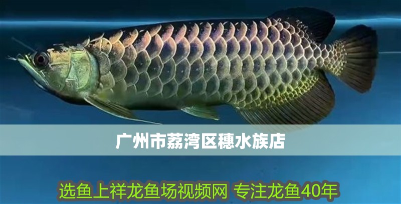 廣州市荔灣區(qū)穗水族店