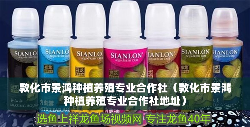 敦化市景鴻種植養殖專業合作社（敦化市景鴻種植養殖專業合作社地址）