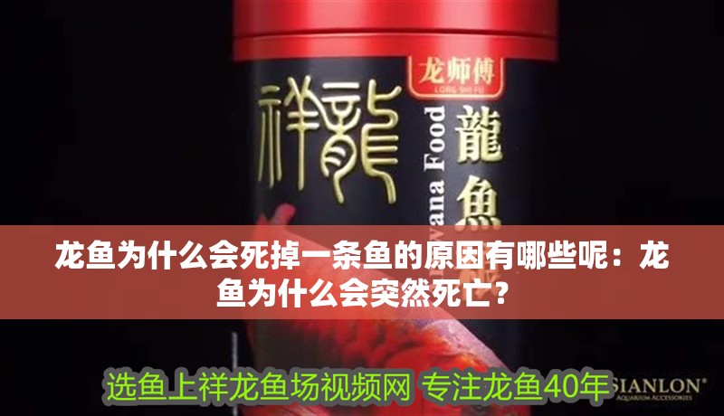 龍魚為什么會死掉一條魚的原因有哪些呢：龍魚為什么會突然死亡？