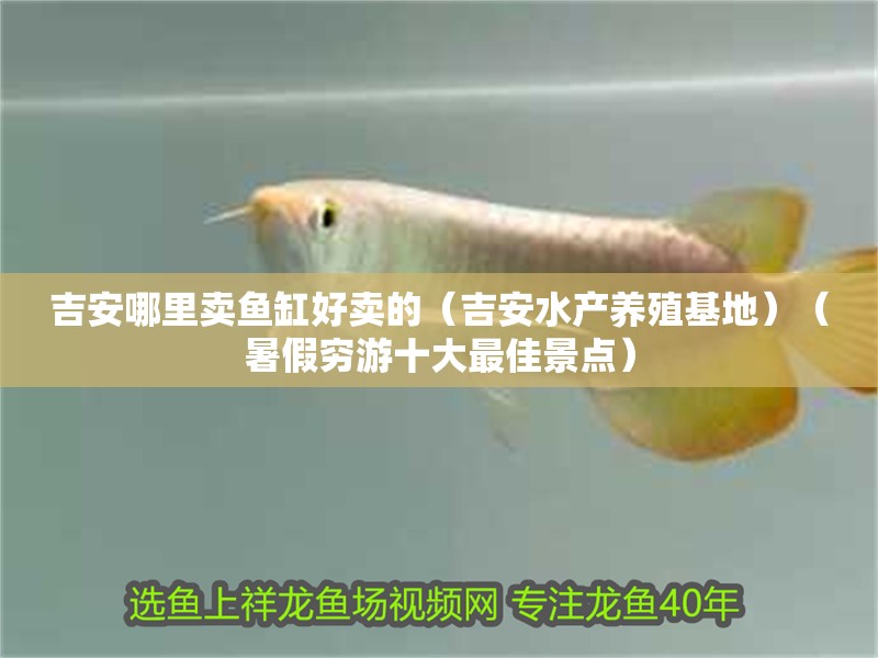 吉安哪里賣魚(yú)缸好賣的（吉安水產(chǎn)養(yǎng)殖基地）（暑假窮游十大最佳景點(diǎn)）
