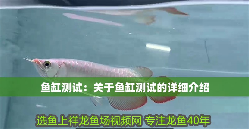 魚缸測試：關于魚缸測試的詳細介紹