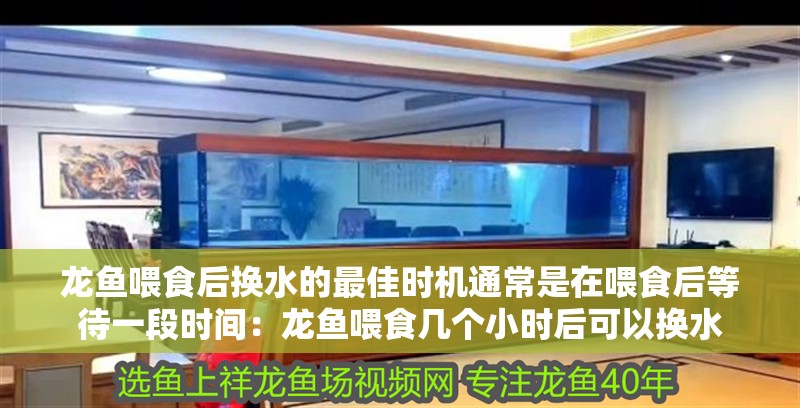 龍魚(yú)喂食后換水的最佳時(shí)機(jī)通常是在喂食后等待一段時(shí)間：龍魚(yú)喂食幾個(gè)小時(shí)后可以換水