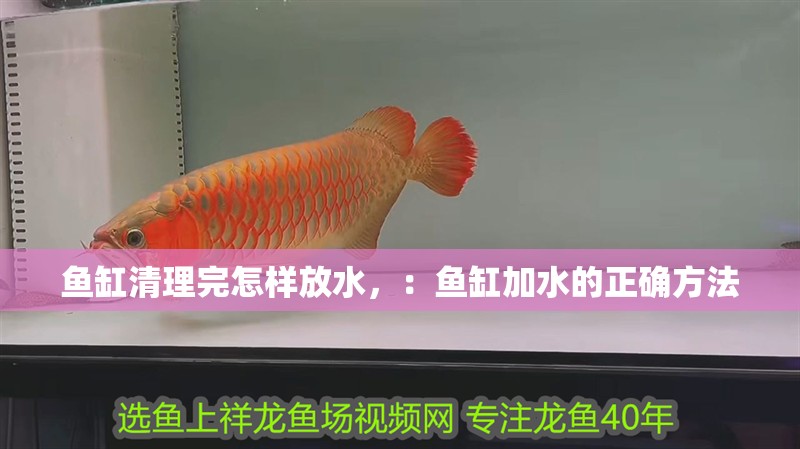 魚缸清理完怎樣放水，：魚缸加水的正確方法