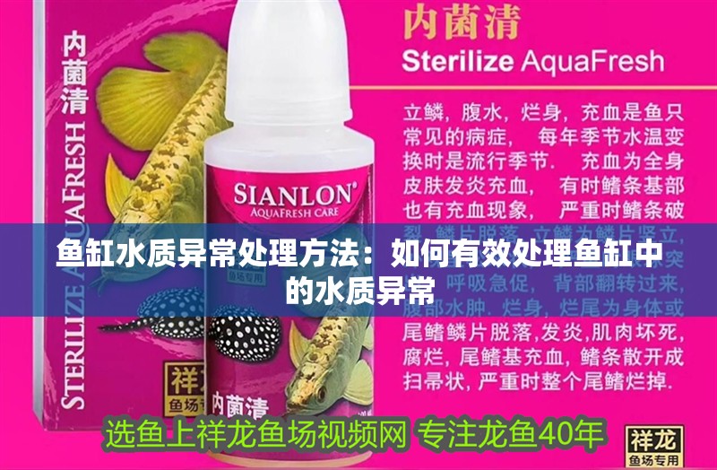 魚缸水質異常處理方法：如何有效處理魚缸中的水質異常