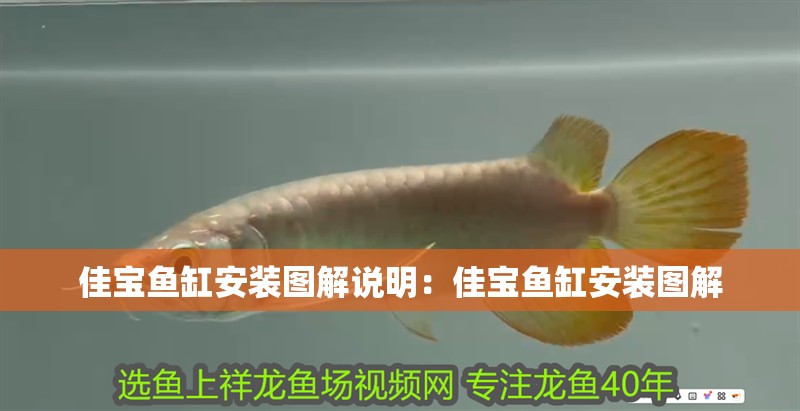 佳寶魚缸安裝圖解說明：佳寶魚缸安裝圖解