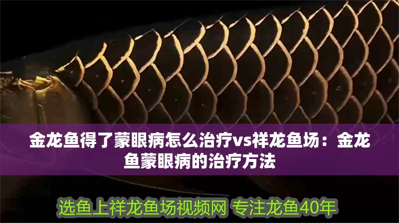 金龍魚得了蒙眼病怎么治療vs祥龍魚場：金龍魚蒙眼病的治療方法