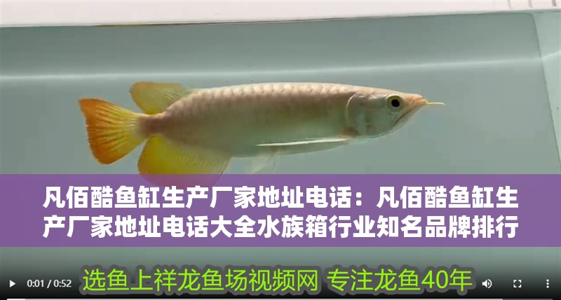 凡佰酷魚缸生產廠家地址電話：凡佰酷魚缸生產廠家地址電話大全水族箱行業知名品牌排行