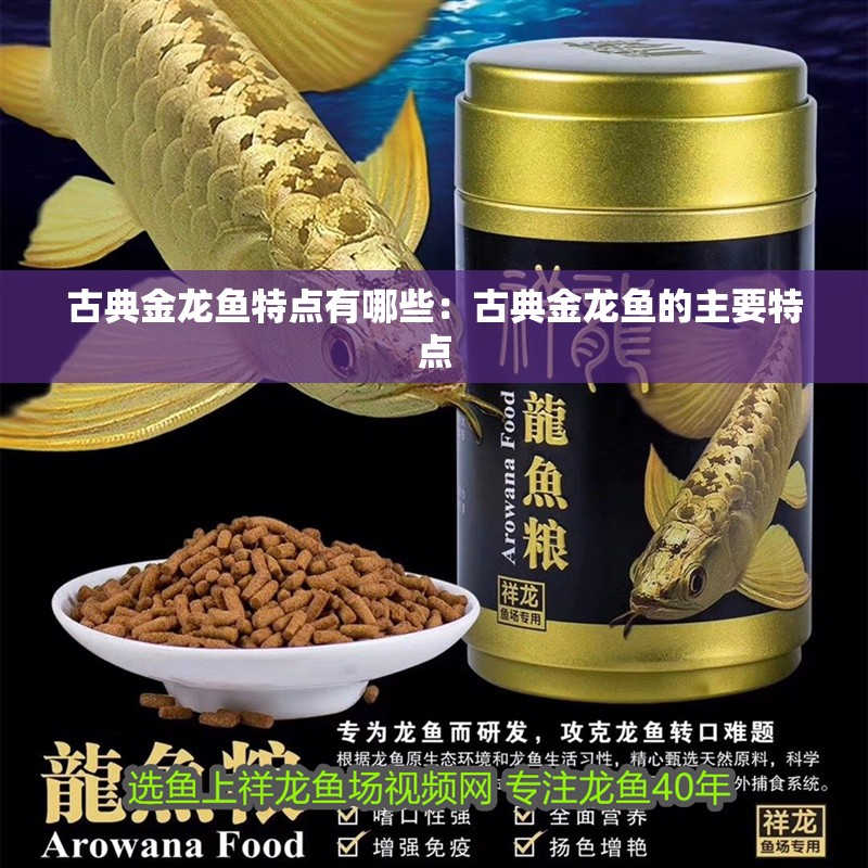 古典金龍魚特點有哪些：古典金龍魚的主要特點