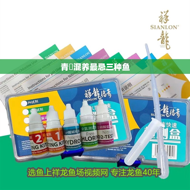 青鳉混養(yǎng)最忌三種魚