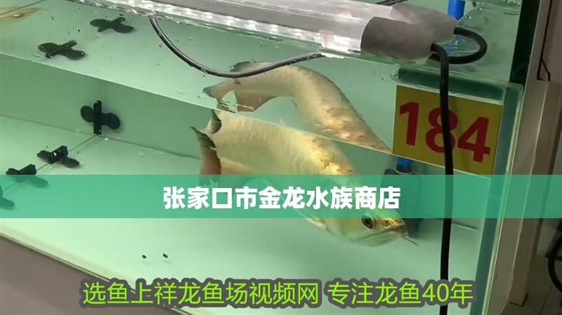 張家口市金龍水族商店