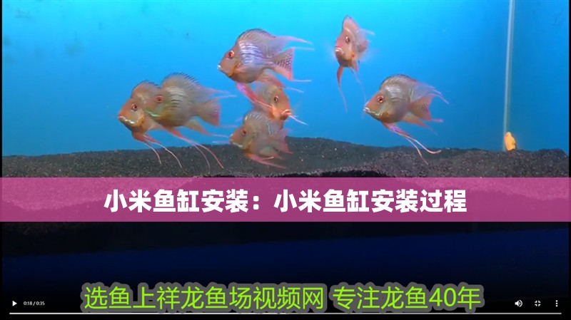 小米魚(yú)缸安裝：小米魚(yú)缸安裝過(guò)程