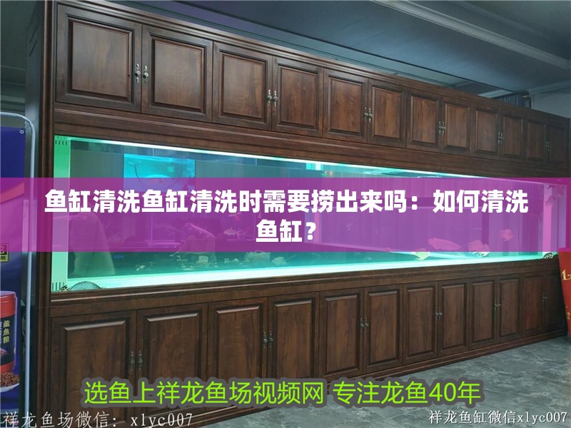 魚缸清洗魚缸清洗時需要撈出來嗎：如何清洗魚缸？