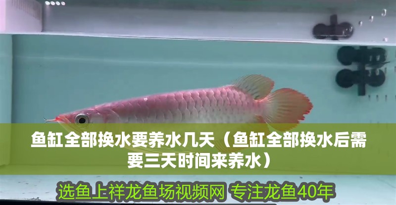 魚(yú)缸全部換水要養(yǎng)水幾天（魚(yú)缸全部換水后需要三天時(shí)間來(lái)養(yǎng)水）