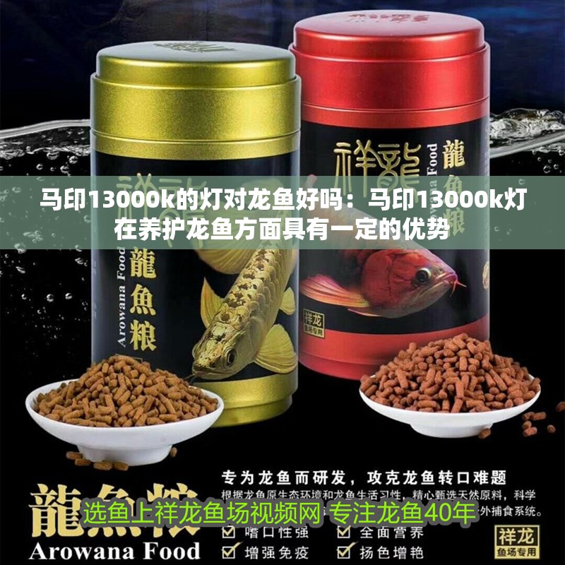 馬印13000k的燈對龍魚好嗎：馬印13000k燈在養護龍魚方面具有一定的優勢
