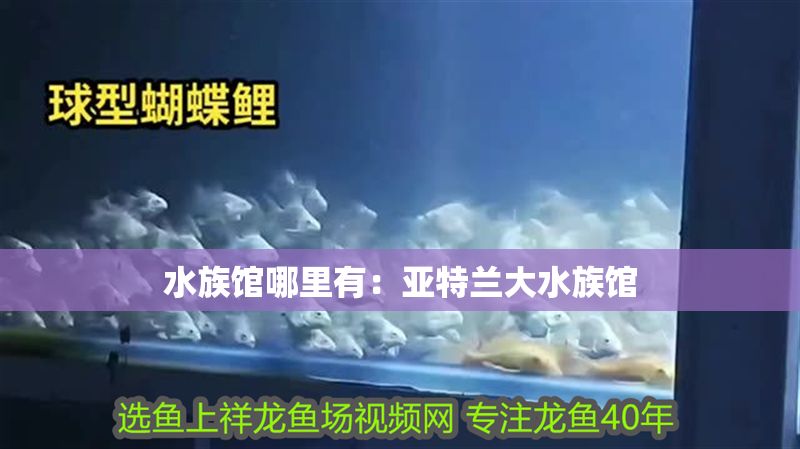 水族館哪里有：亞特蘭大水族館