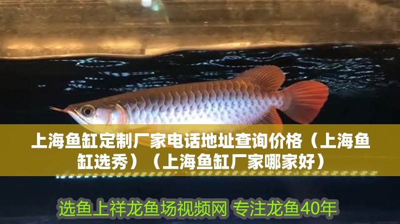 上海魚缸定制廠家電話地址查詢價格（上海魚缸選秀）（上海魚缸廠家哪家好）