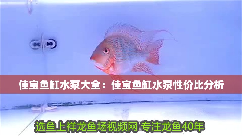 佳寶魚缸水泵大全：佳寶魚缸水泵性價比分析
