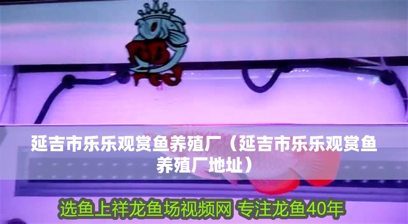 延吉市樂樂觀賞魚養殖廠（延吉市樂樂觀賞魚養殖廠地址）