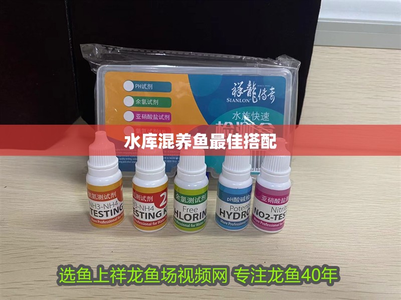 水庫(kù)混養(yǎng)魚(yú)最佳搭配