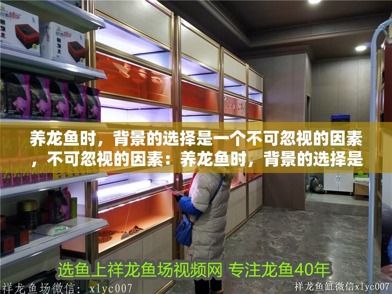 養龍魚時，背景的選擇是一個不可忽視的因素，不可忽視的因素：養龍魚時，背景的選擇是一個不可忽視的因素，不僅能增強觀賞效果