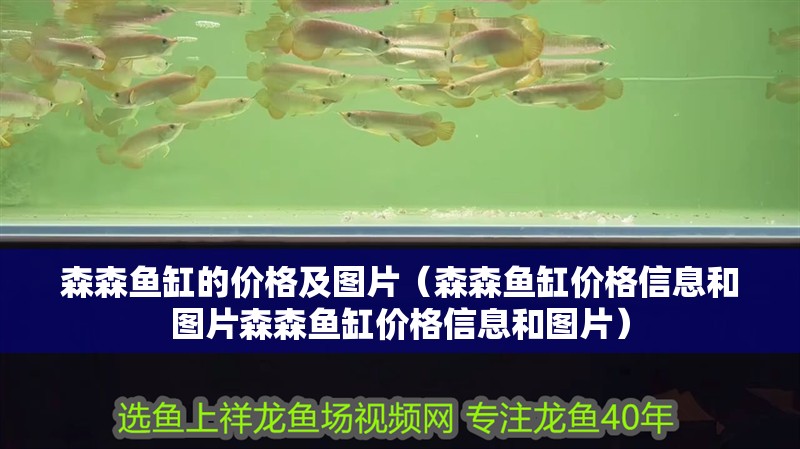 森森魚缸的價格及圖片（森森魚缸價格信息和圖片森森魚缸價格信息和圖片）