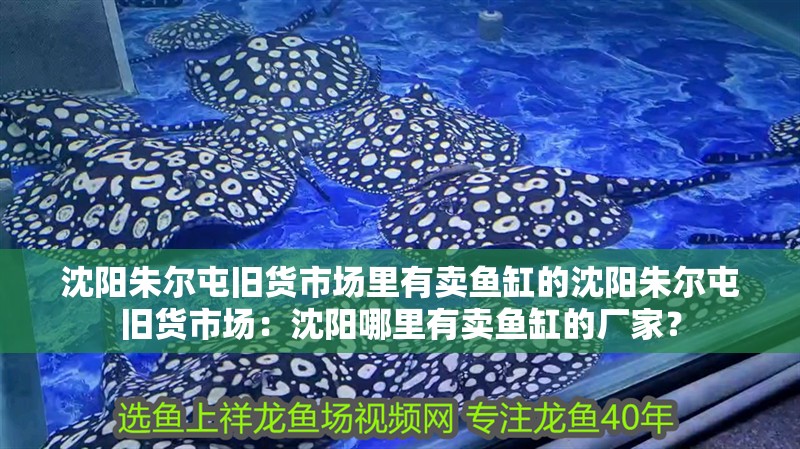 沈陽朱爾屯舊貨市場里有賣魚缸的沈陽朱爾屯舊貨市場：沈陽哪里有賣魚缸的廠家？