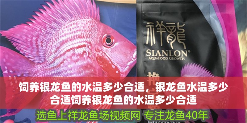 飼養銀龍魚的水溫多少合適，銀龍魚水溫多少合適飼養銀龍魚的水溫多少合適