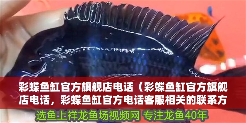 彩蝶魚缸官方旗艦店電話（彩蝶魚缸官方旗艦店電話，彩蝶魚缸官方電話客服相關的聯系方式是...）