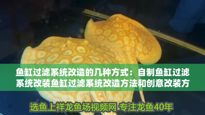 魚缸過濾系統(tǒng)改造的幾種方式：自制魚缸過濾系統(tǒng)改裝魚缸過濾系統(tǒng)改造方法和創(chuàng)意改裝方法