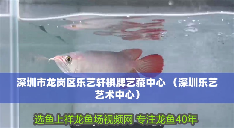 深圳市龍崗區樂藝軒棋牌藝藏中心 （深圳樂藝藝術中心）