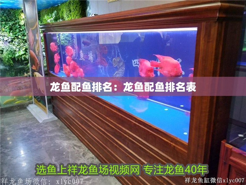 龍魚配魚排名：龍魚配魚排名表