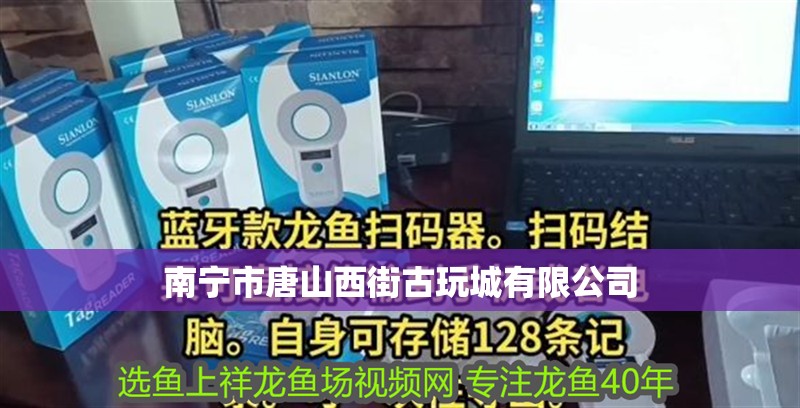 南寧市唐山西街古玩城有限公司 南寧市唐山西街古玩城有限公司 全國(guó)水族館企業(yè)名錄