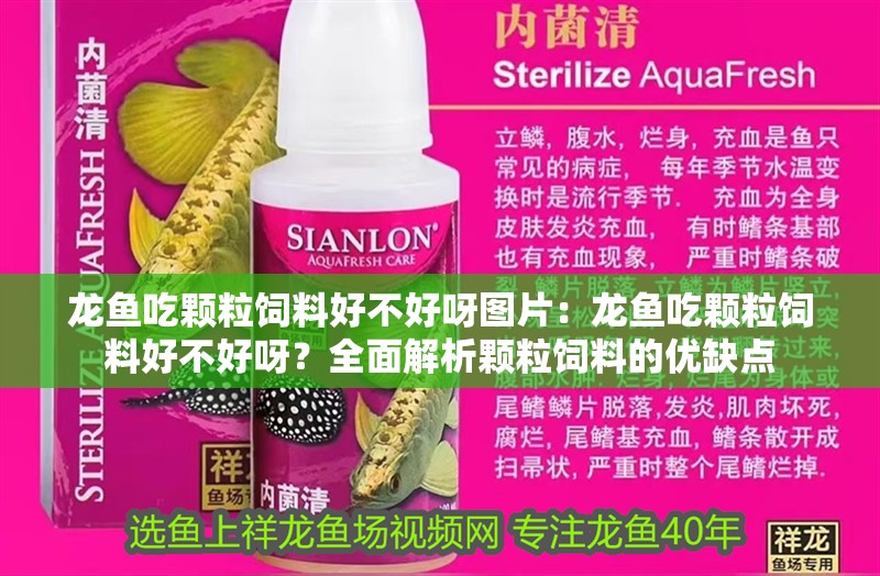 龍魚吃顆粒飼料好不好呀圖片：龍魚吃顆粒飼料好不好呀？全面解析顆粒飼料的優(yōu)缺點(diǎn)