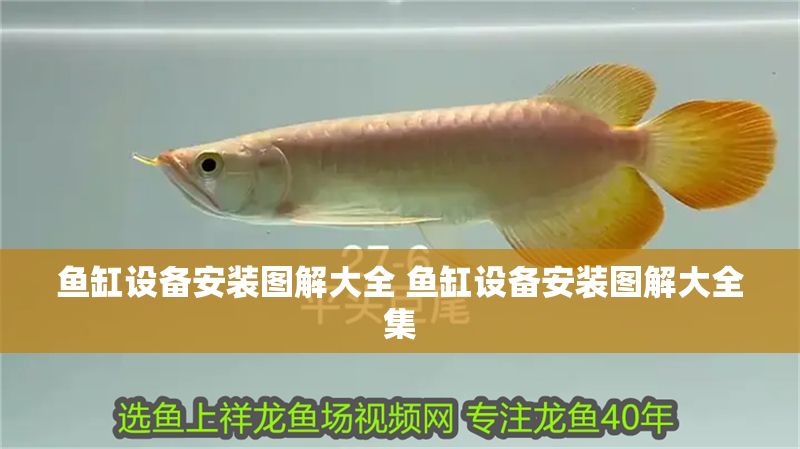 魚缸設備安裝圖解大全 魚缸設備安裝圖解大全集 魚缸設備安裝圖解大全 魚缸設備安裝圖解大全集 錦鯉魚百科 第1張