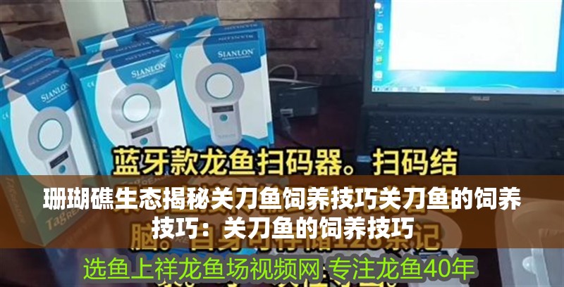 珊瑚礁生態揭秘關刀魚飼養技巧關刀魚的飼養技巧：關刀魚的飼養技巧