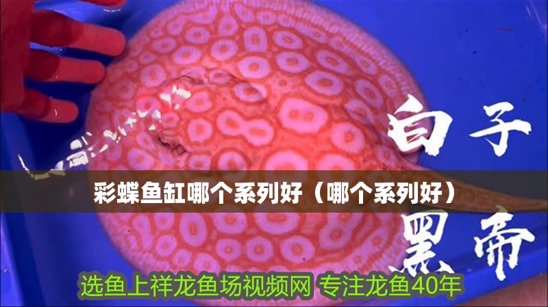 彩蝶魚缸哪個系列好（哪個系列好） 彩蝶魚缸哪個系列好（哪個系列好） 魚缸百科