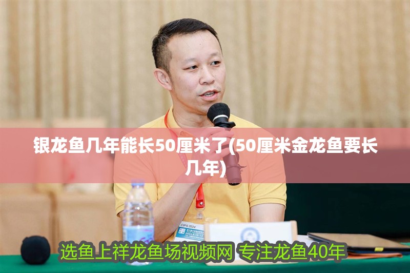 銀龍魚幾年能長50厘米了(50厘米金龍魚要長幾年)